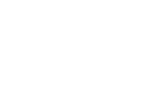 ZND Logo weiß